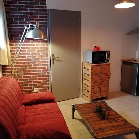 Appartement Studio "La Brique Rouge" à Agen Extérieur photo